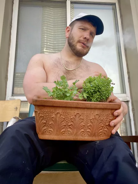 Spicy basil by NorthsideCubz