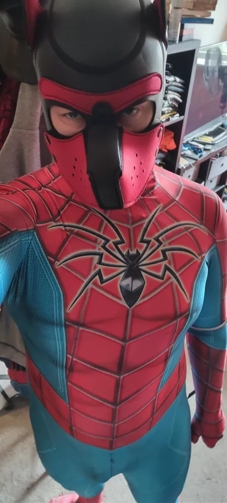 Spider-Dog by pupstarkey