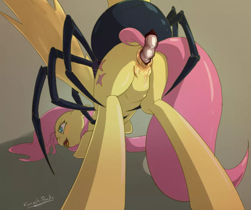Spider/MLP posted by tinbucketman