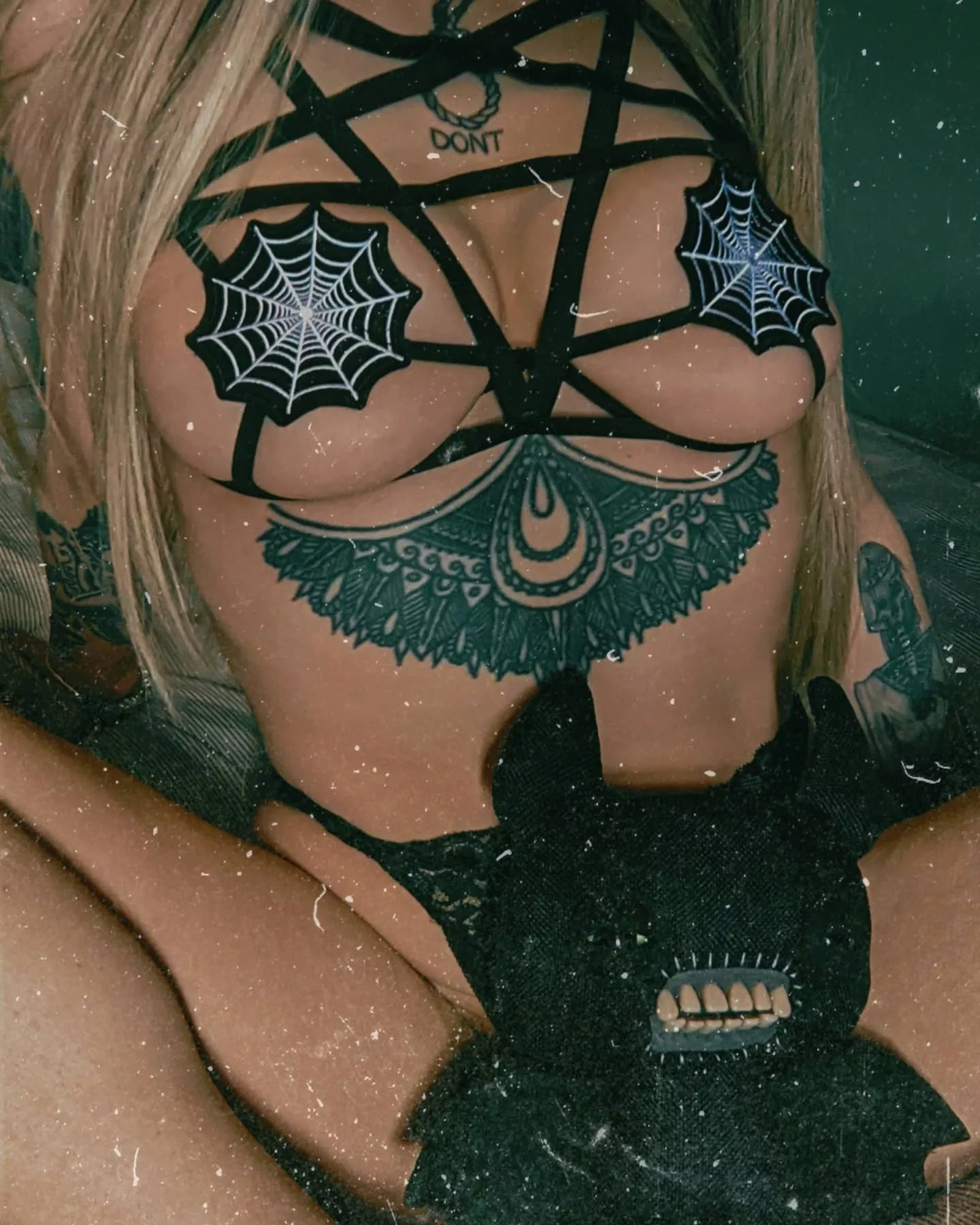 spiderweb nips 🕸️ posted by insvlar