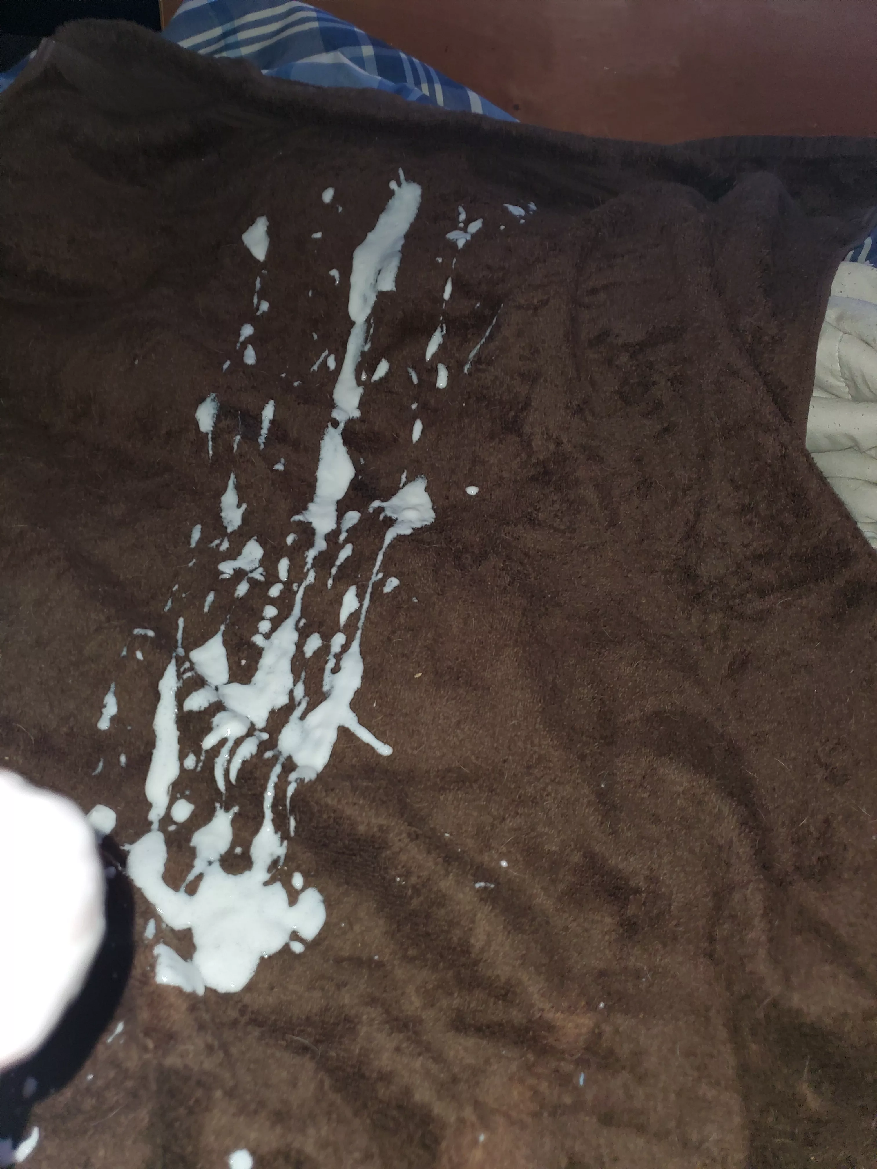 SPLAT (2 dat edge) posted by FlthyPrvDdy4HgeTits