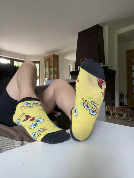 Spongebob sockies! 🤪 by This_Coast_7964