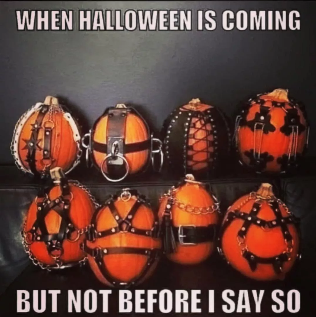 Spooky season is here time to dress... The same as always? posted by Too_thee_mooon