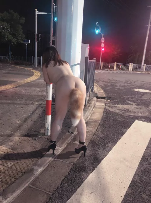 Spotted this wild fox in China by ggekko999