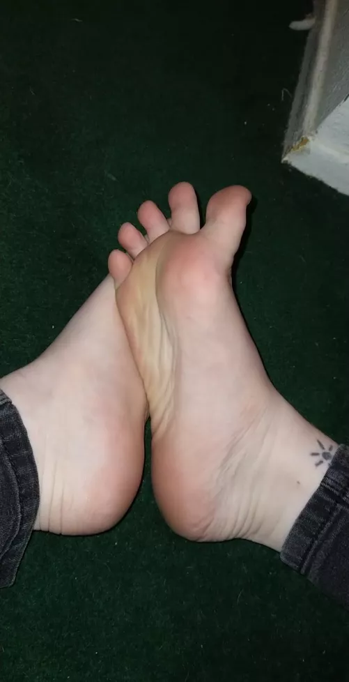 Spread Eagle toes? Haha! (dms open) by feetiecutie