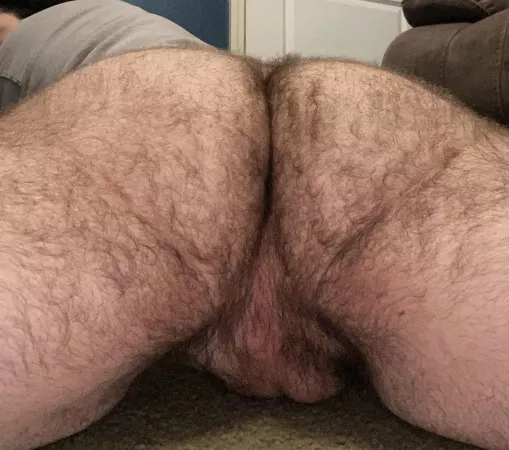 Spread it open for me by hairybottomboy