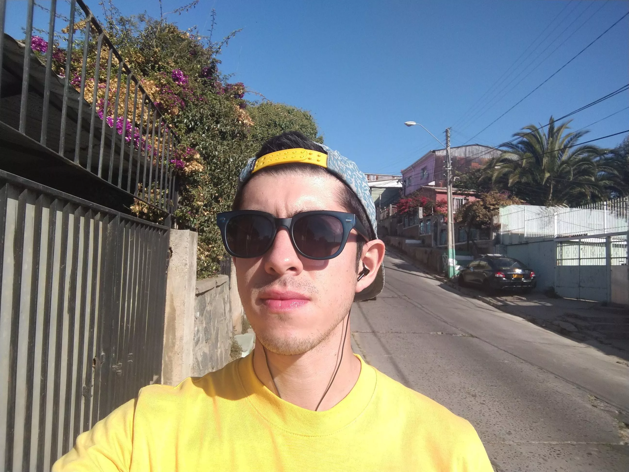 Spring vibes 🌱☀️🌼 posted by maxmuleiv