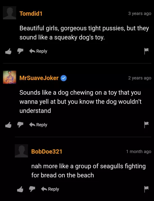 Squeaky dog toys by ice-h2o