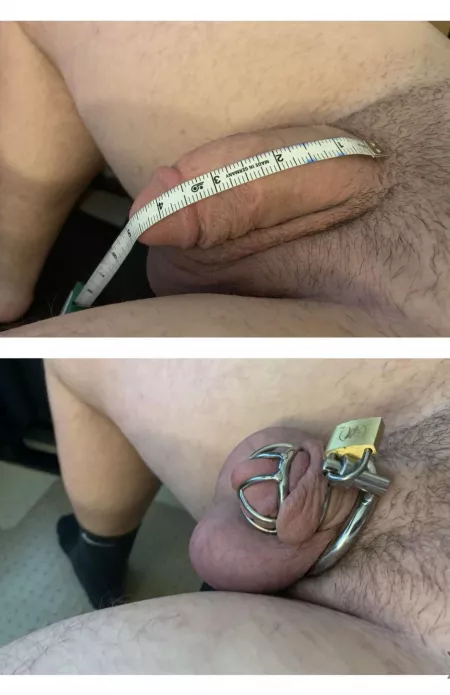 Squeezing it all in, prepping for locktober. by Myriskyaccount