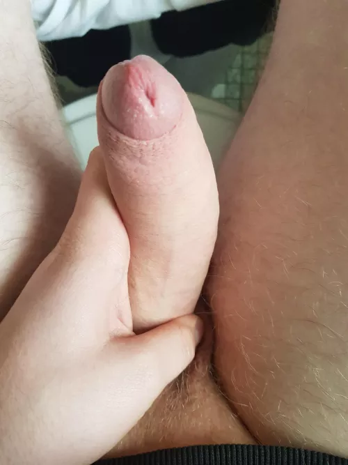 Sry for not posting 😅🙏 been a bit busy | Feel free to Dm or comment what u want by xuupiii