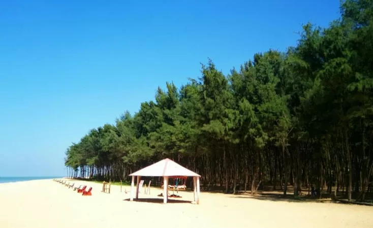 St Mary's Island Beach😍 by Alarming-Hope