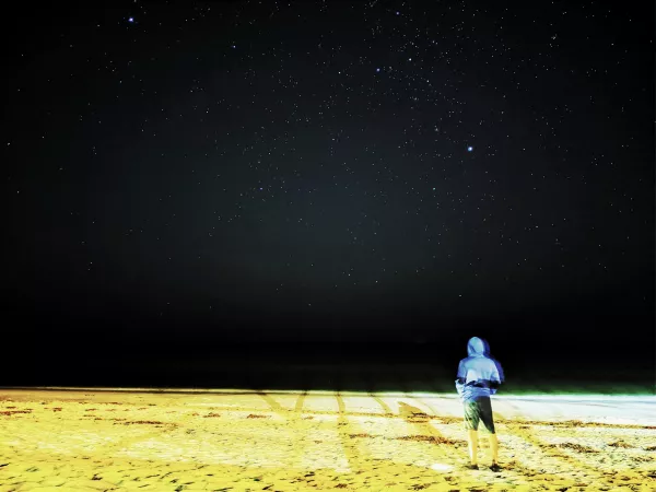 Starry night at the beach 🏖️ by beastfolk