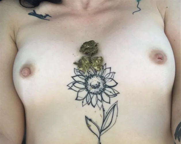 Start rolling baby! by GabyAguila