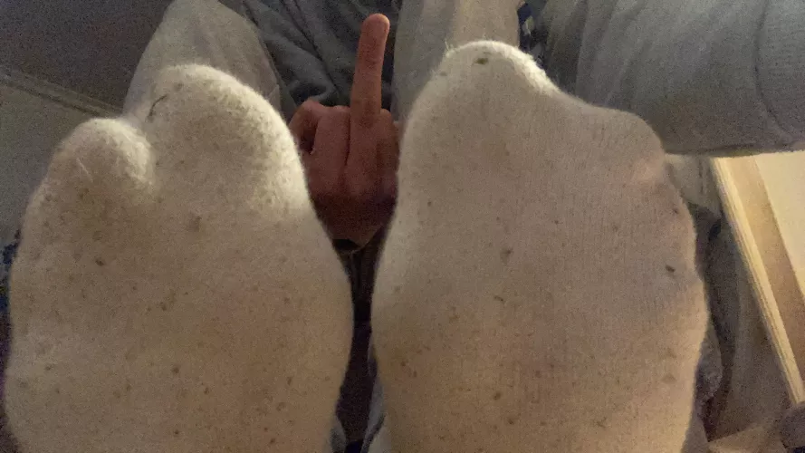 start sniffing by thxnks