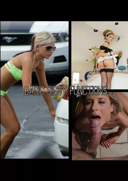 Start with the basics by Bwstud03