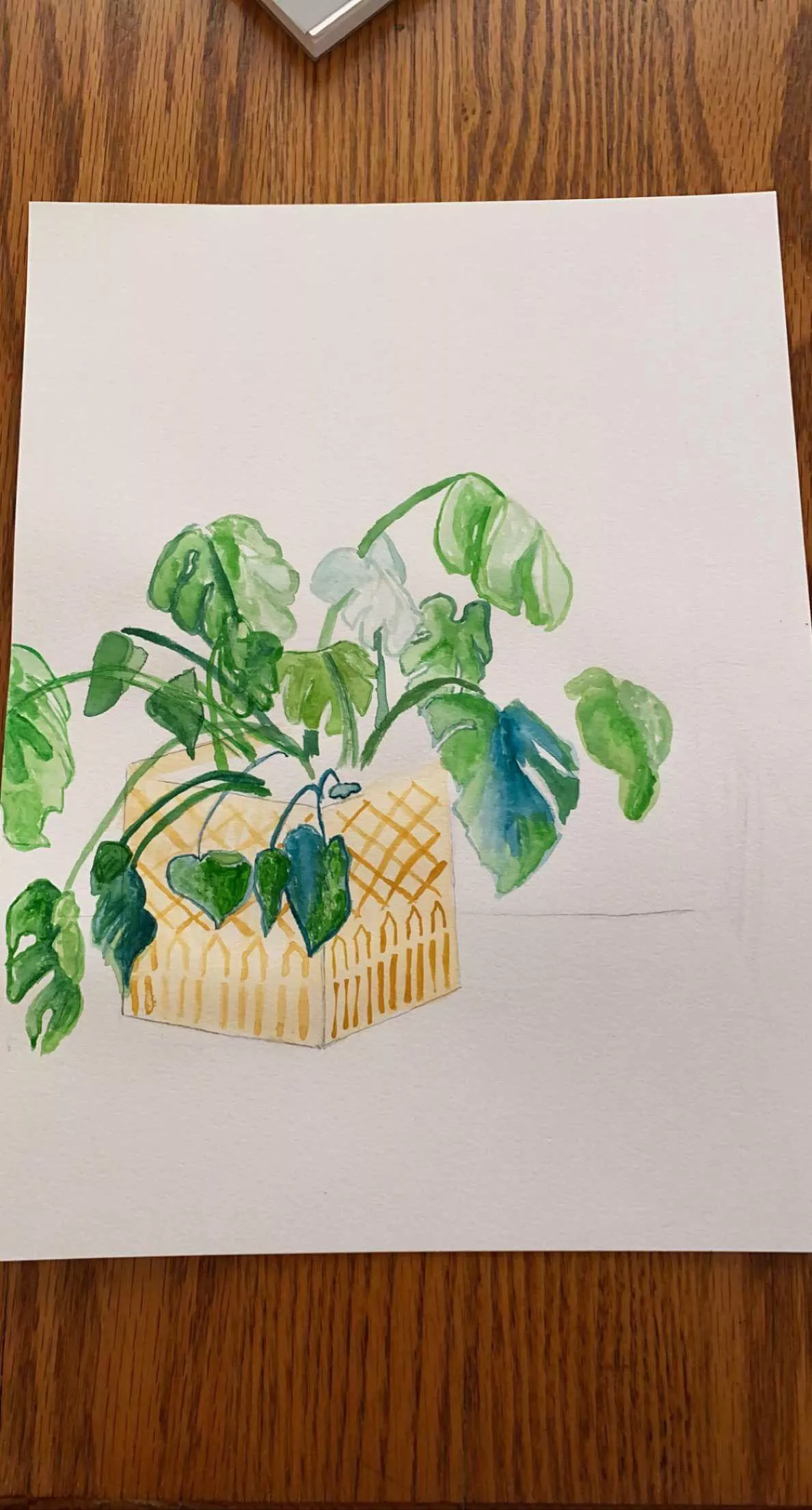 Started a still life for ddy today 👩‍🎨☺️ (new to watercolors😬) posted by intangible-assets