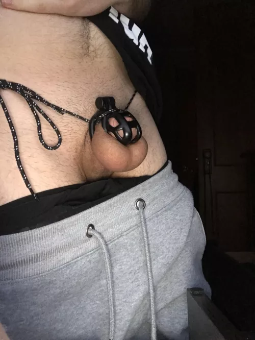 Starting day 1 of 974 morning verification caged! by Thickdoughknot