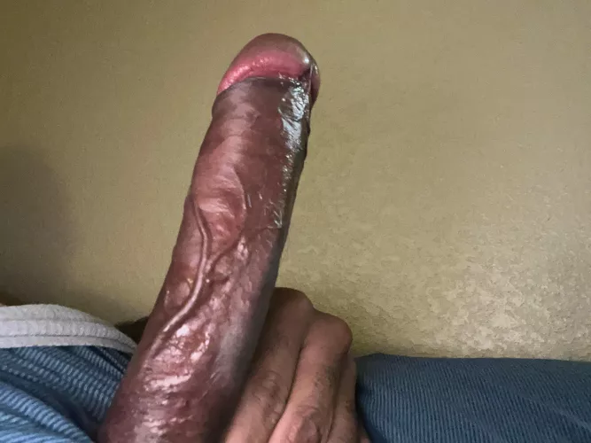 Starting the week by mrrosa85