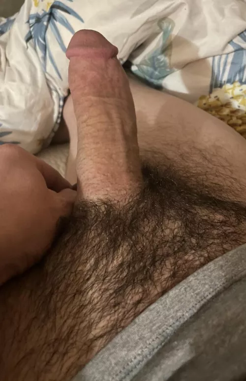 Starting to grow back in. What do you think? by Glum-Network-6128