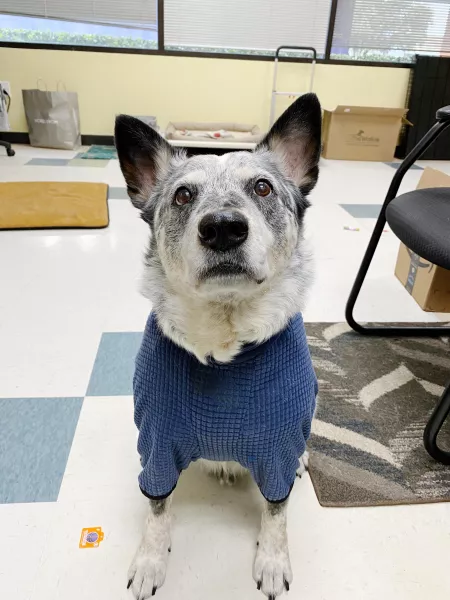 Stay warm, everyone! by OfficeSpaceRocks