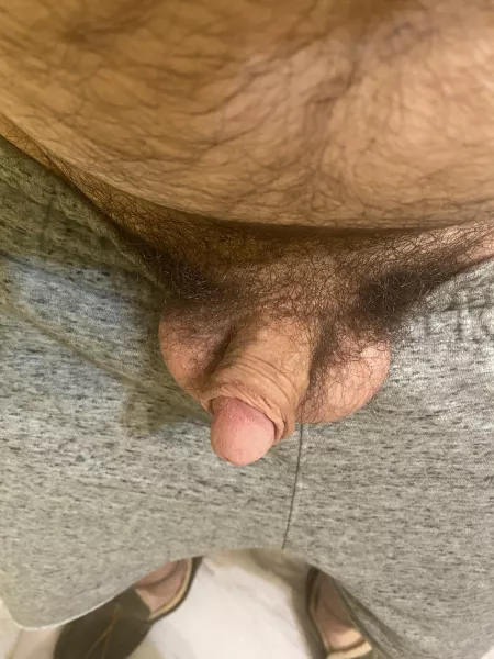 Sticking out of my sweats [24] by rrdog51