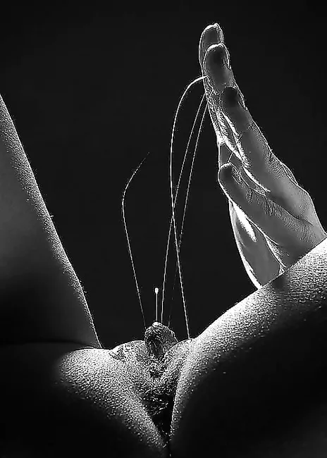 Sticky Slit! posted by DrBernardGogo