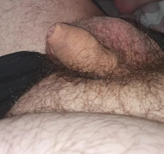 Still in bed, need help to get hard and cum. Prefer older men. by bigman0810