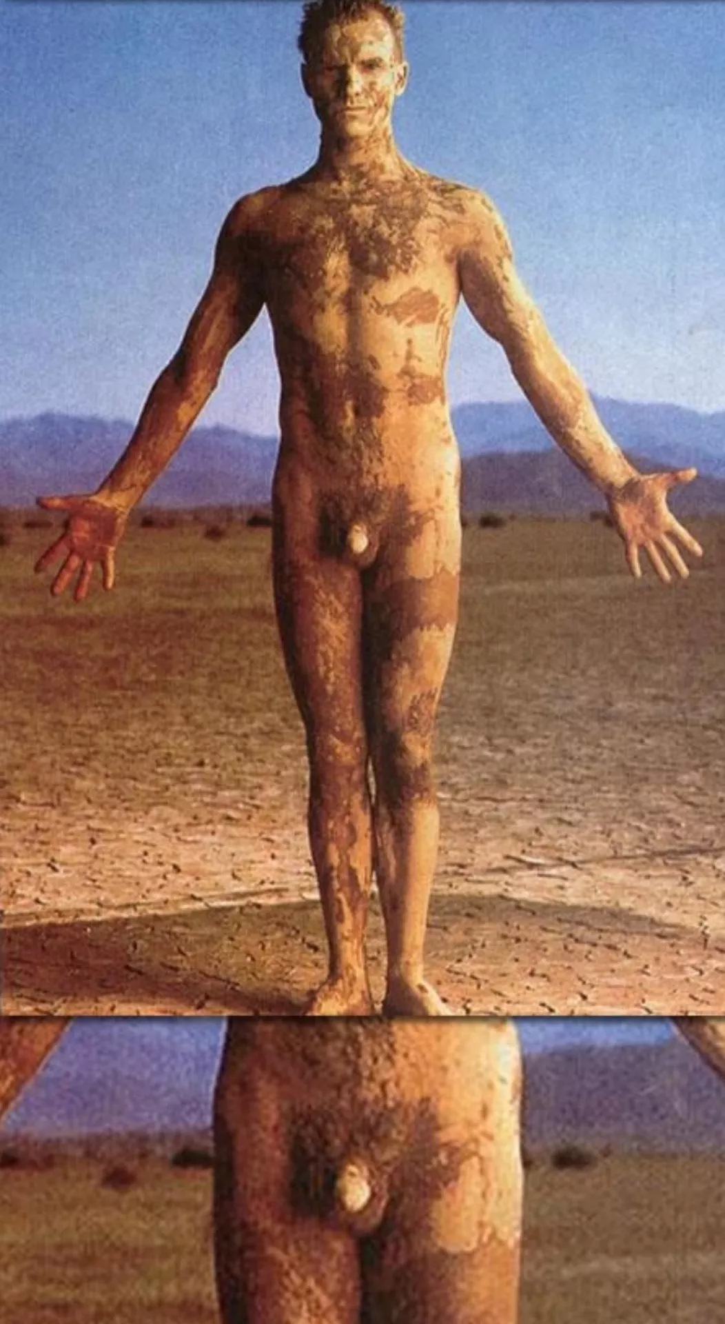 Sting's stinger posted by cassandras_eyes