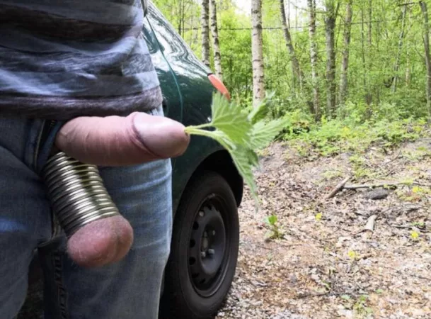 Stingy nettle sounding by Hello12302