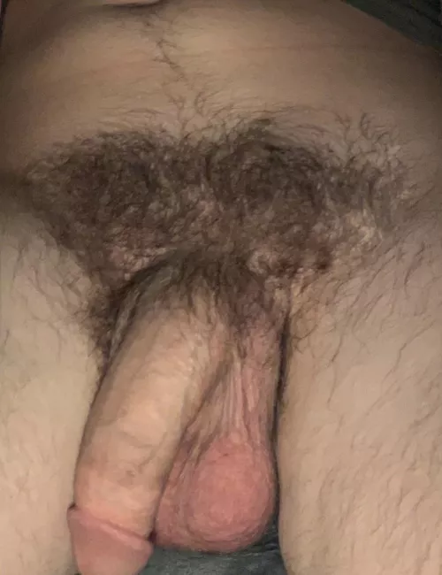 Stopped trimming a month ago, wish I had let the bush grow sooner😉😈 by Embarrassed_Visual13