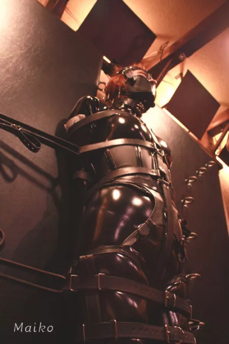 Stored like a doll for the night by Caron123456