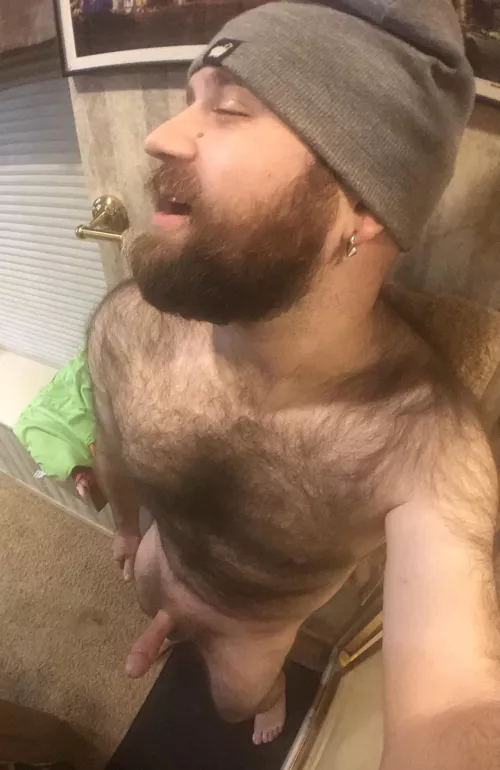 Straddle on this bear by Firm-Thick-and-Hairy