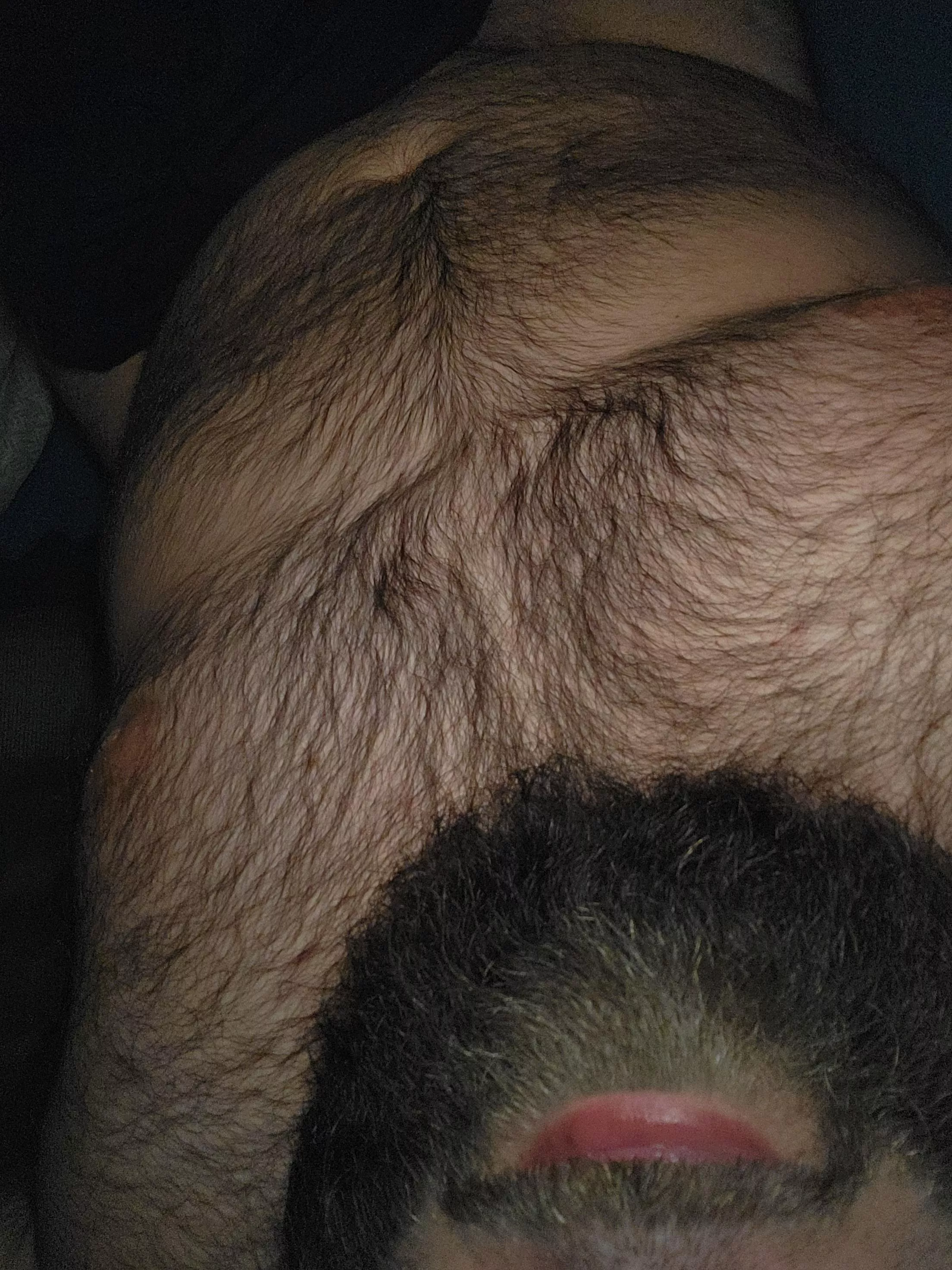 Straight. Take a seat on my face 😈 posted by SpliffyLongstocking