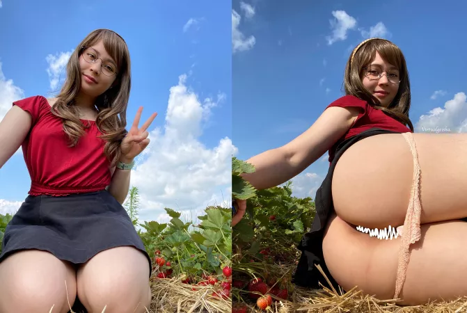 Strawberry picking time? by virtualgeisha