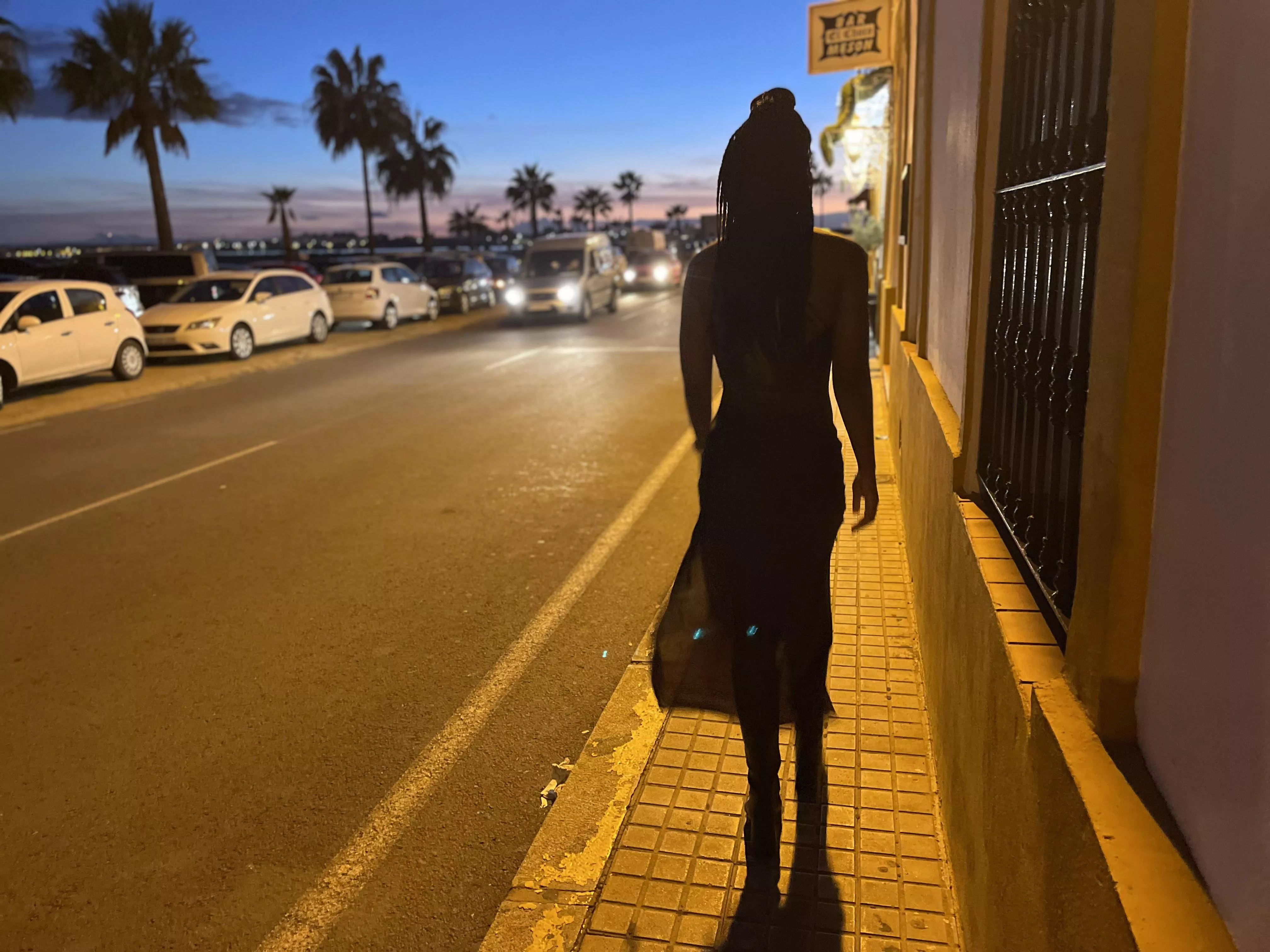 Streetlights and palm trees posted by domfyi