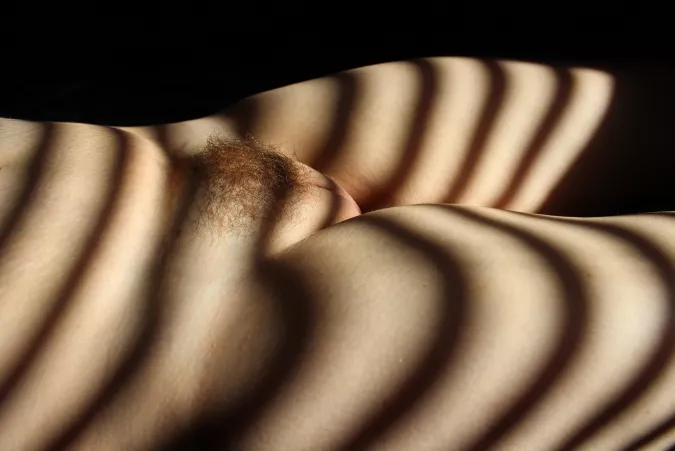 Stripes by feverishh