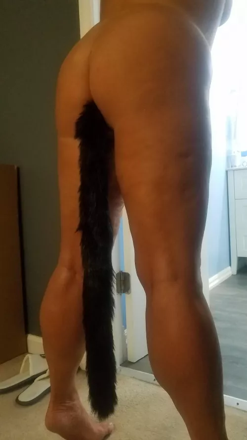 Stroke me and make me purr! by heinousk