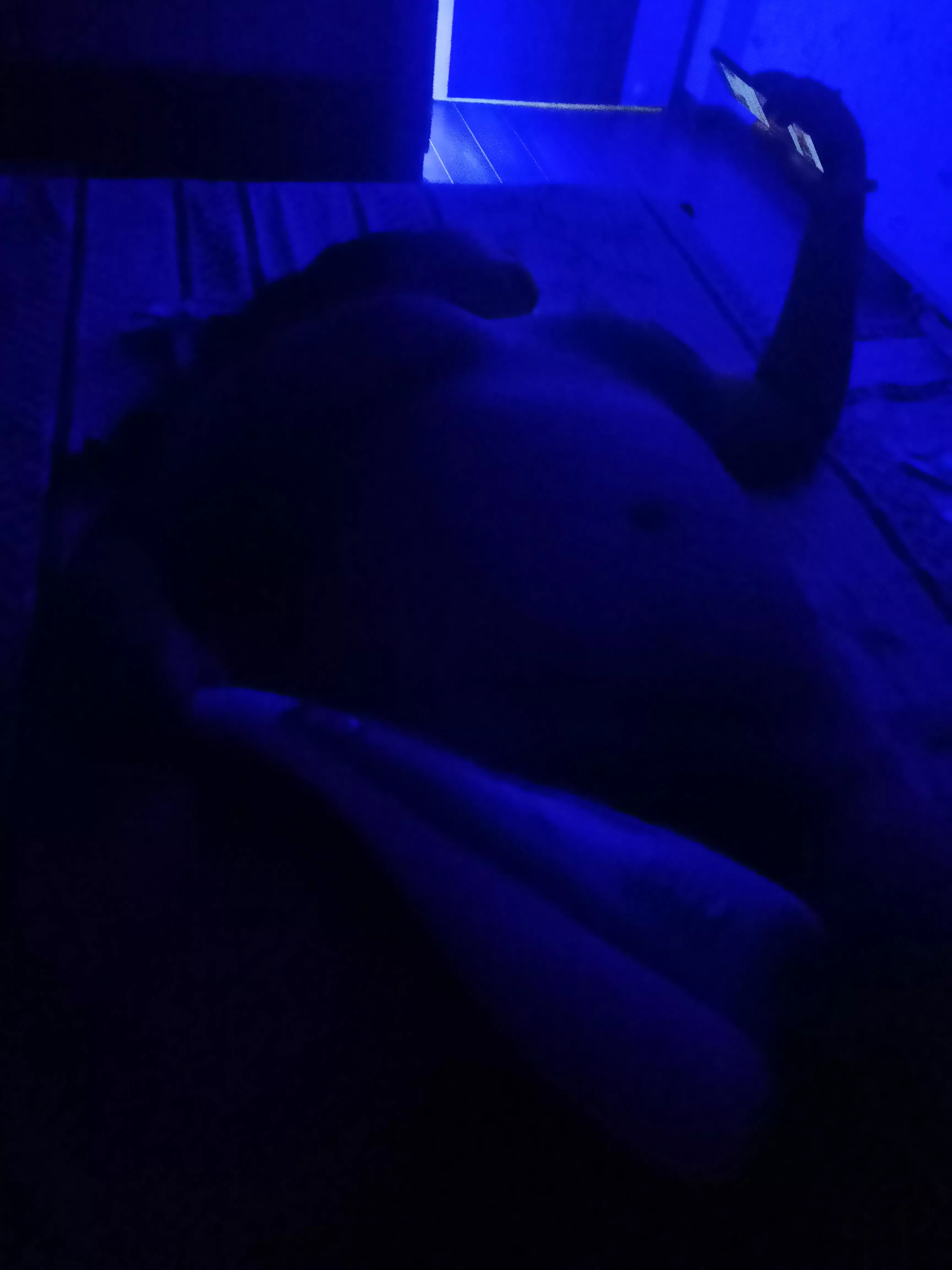 Stroked while she masturbated posted by biharboy