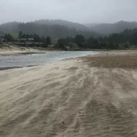 Strong Winds Pulling the Sand on the Oregon Coast