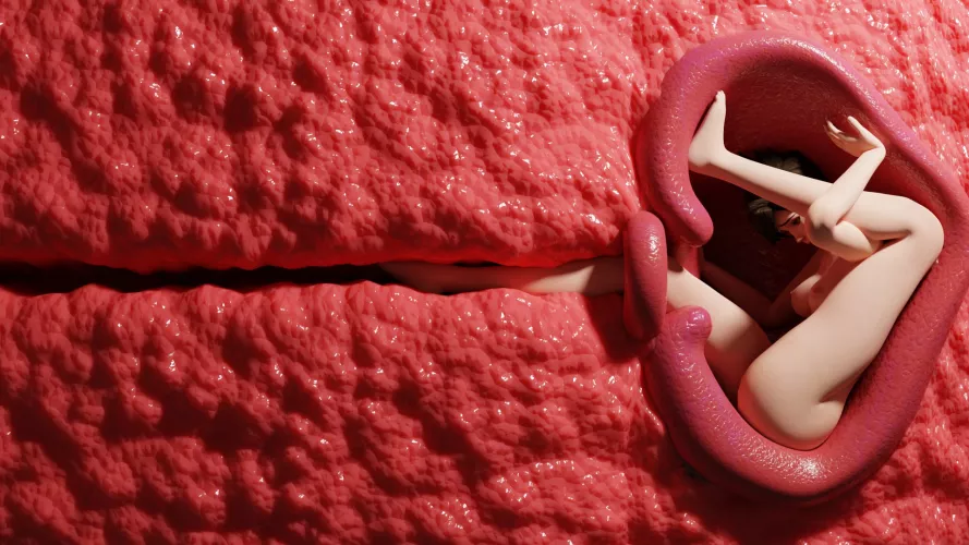 Stuck in the womb (Signal-sunset) by SignalsuccessThrow