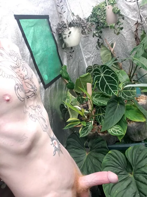 Stuff needs tending to. Can anyone give me a hand🌿🖤🌱 by sicaddict13