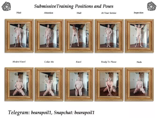 Submissive Training Positions and Poses 😉 by Bearapoilone