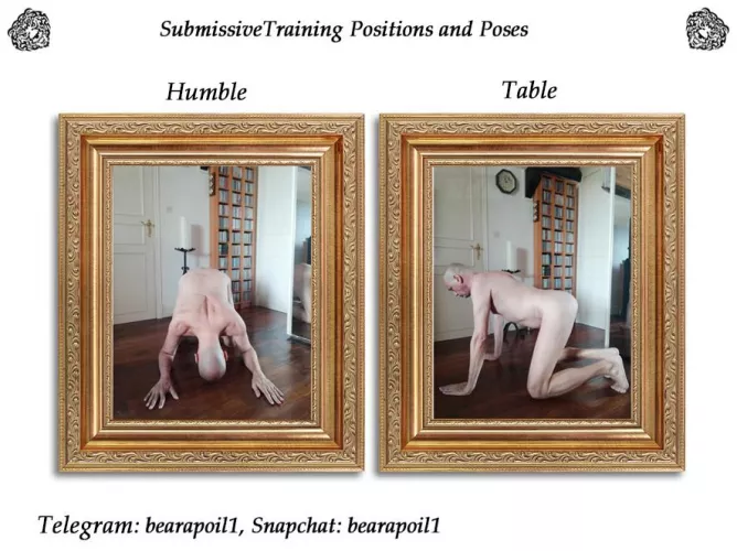 Submissive Training Positions and Poses 😉 by Bearapoilone