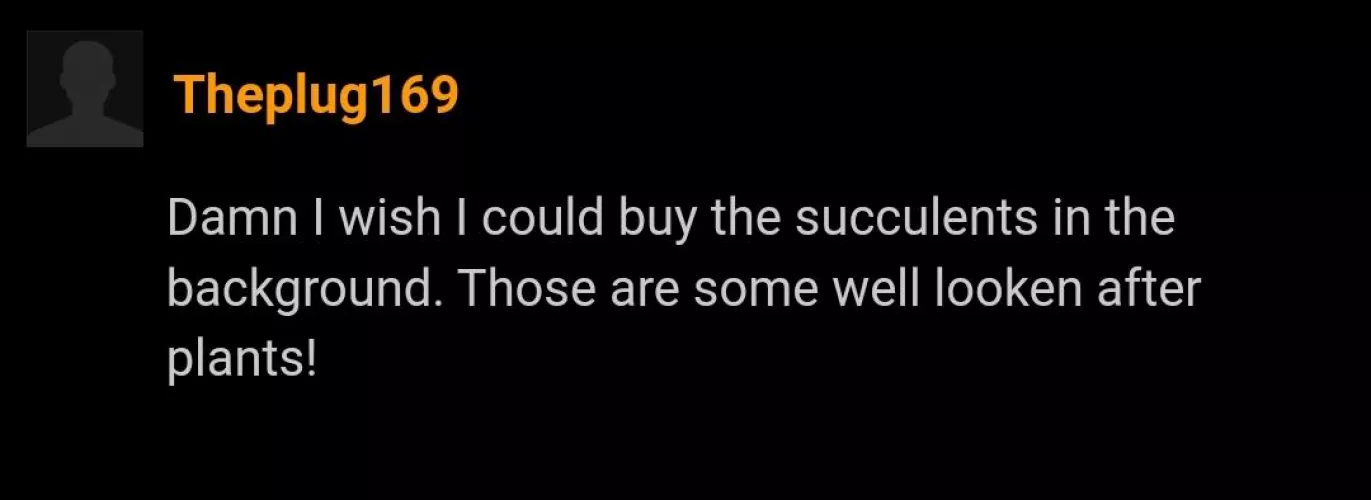 Succulent by Oh_LordNeptune