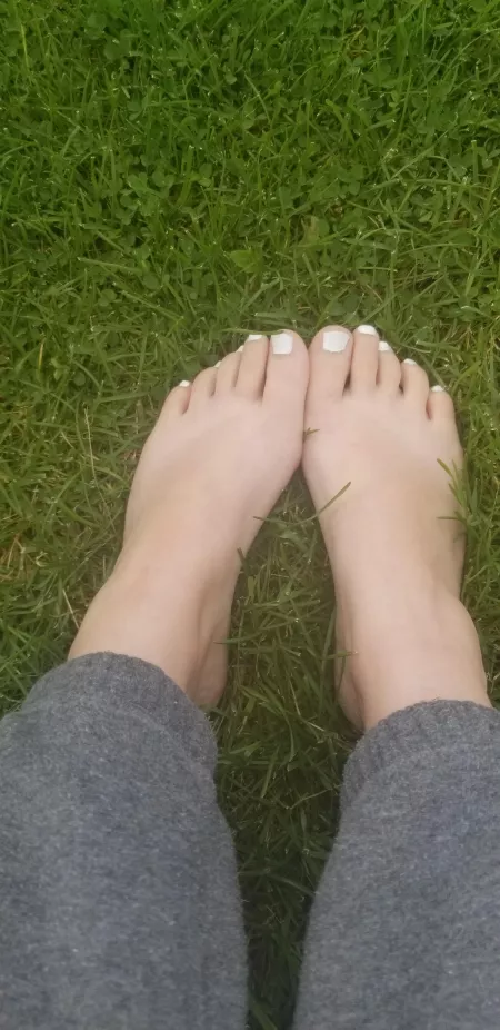 Such a beautiful day to sit in the grass! by SteffieSauruss