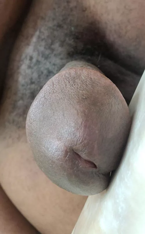 Suck it by Complex-Translator55