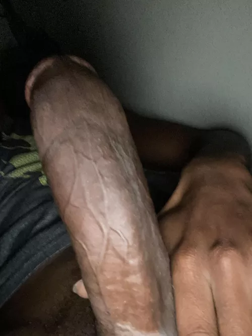 Suck it or fuck it ? by Pale_Feedback9966