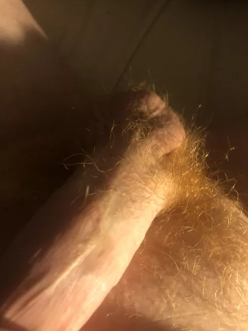 Suck my ball by ConfidentSympathy594