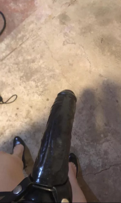 Suck my dick by BhaddieBabes11