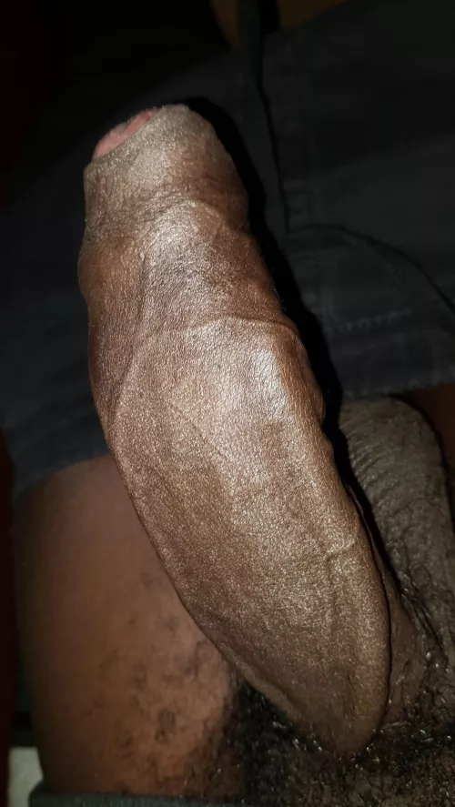 Suck my fat veiny cock and swallow my cum